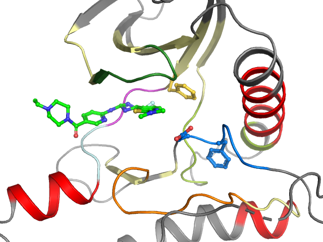 The orthosteric binding pocket