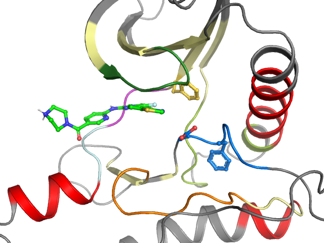 The orthosteric binding pocket