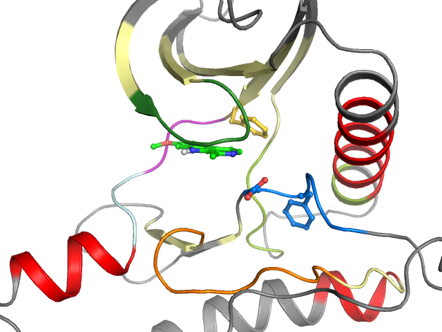 The orthosteric binding pocket