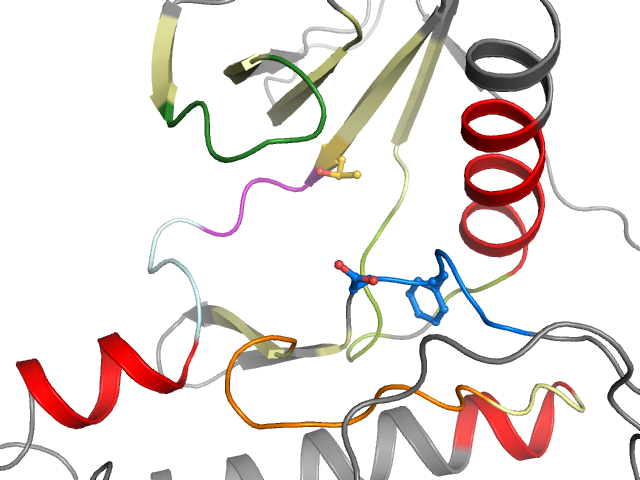 The orthosteric binding pocket