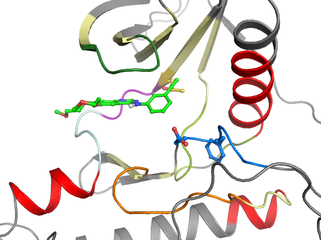 The orthosteric binding pocket