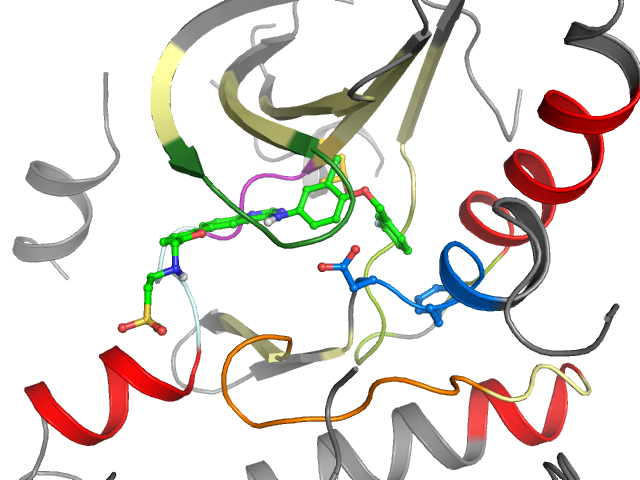 The orthosteric binding pocket