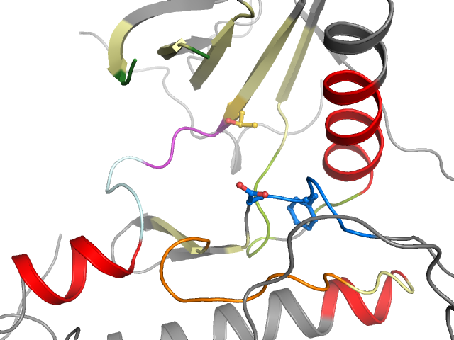 The orthosteric binding pocket