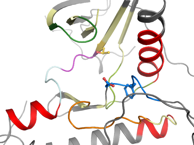 The orthosteric binding pocket