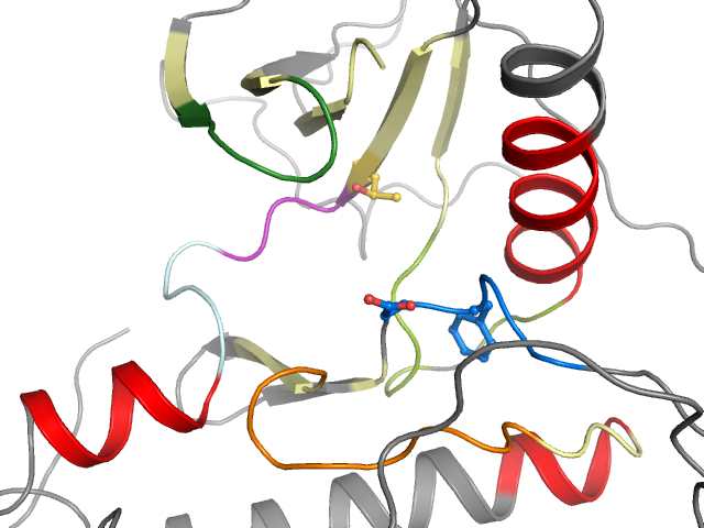 The orthosteric binding pocket