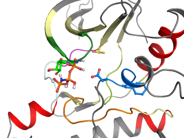 The orthosteric binding pocket