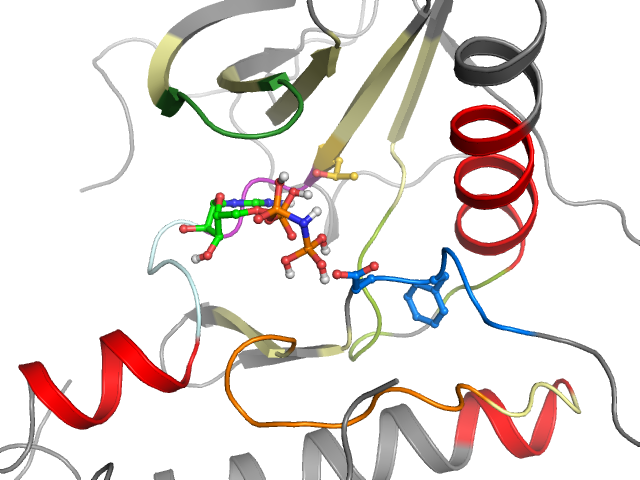 The orthosteric binding pocket