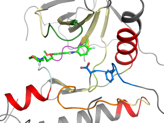 The orthosteric binding pocket