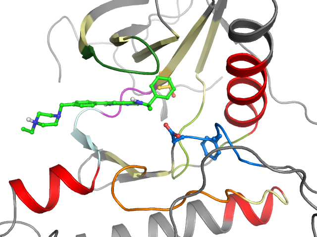 The orthosteric binding pocket