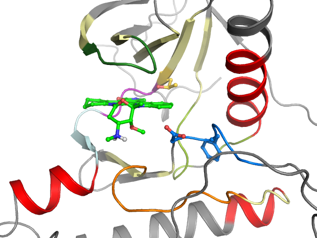 The orthosteric binding pocket