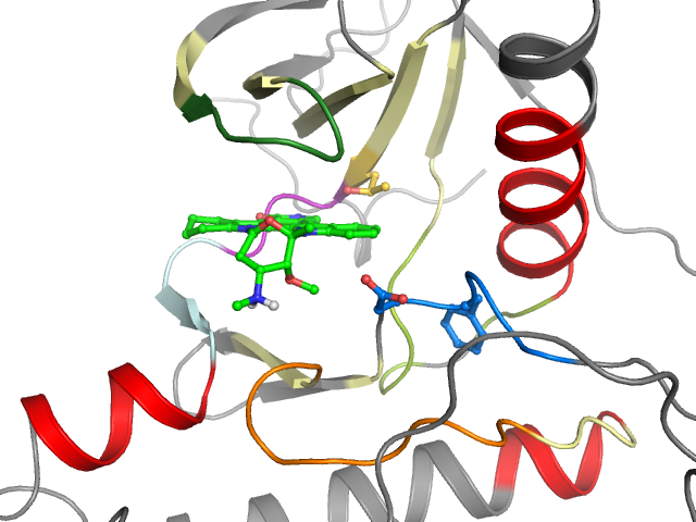 The orthosteric binding pocket