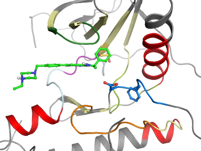 The orthosteric binding pocket
