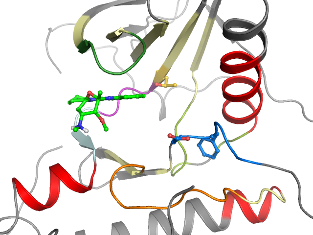 The orthosteric binding pocket