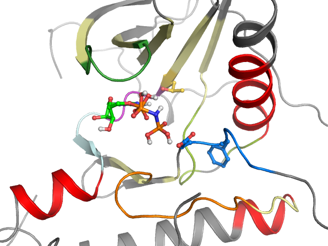 The orthosteric binding pocket