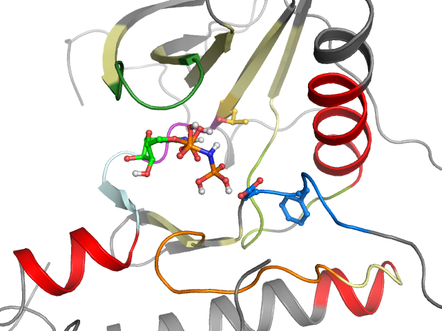 The orthosteric binding pocket