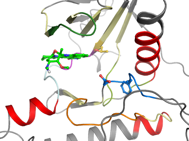 The orthosteric binding pocket