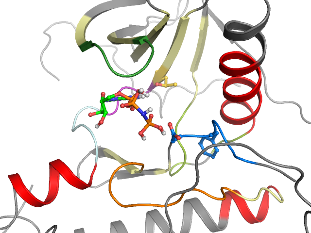 The orthosteric binding pocket