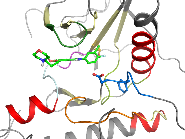 The orthosteric binding pocket