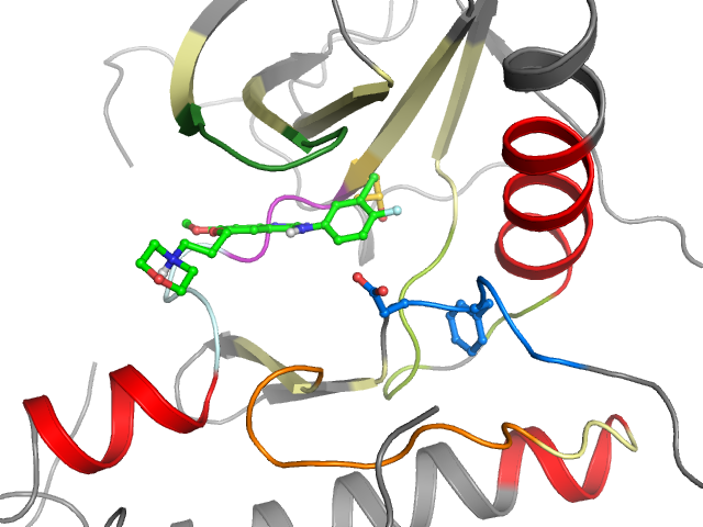 The orthosteric binding pocket