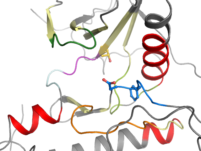The orthosteric binding pocket