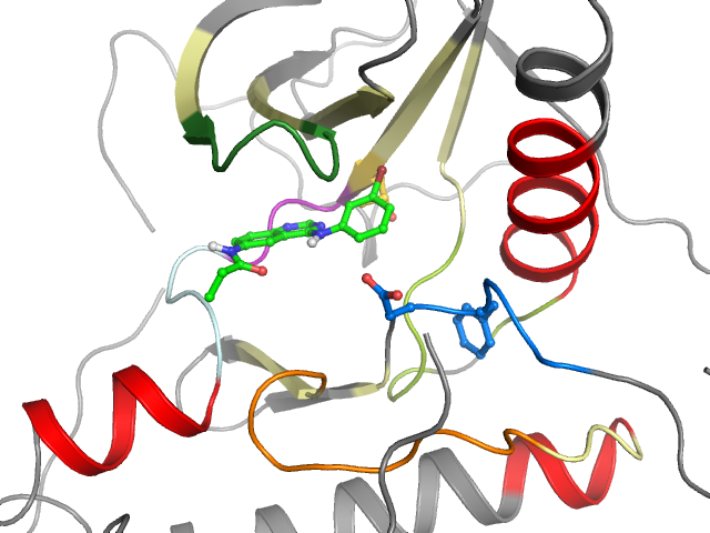 The orthosteric binding pocket