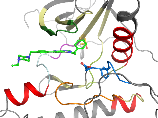 The orthosteric binding pocket