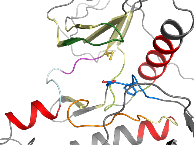 The orthosteric binding pocket