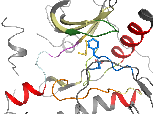 The orthosteric binding pocket