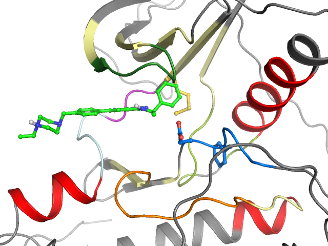 The orthosteric binding pocket