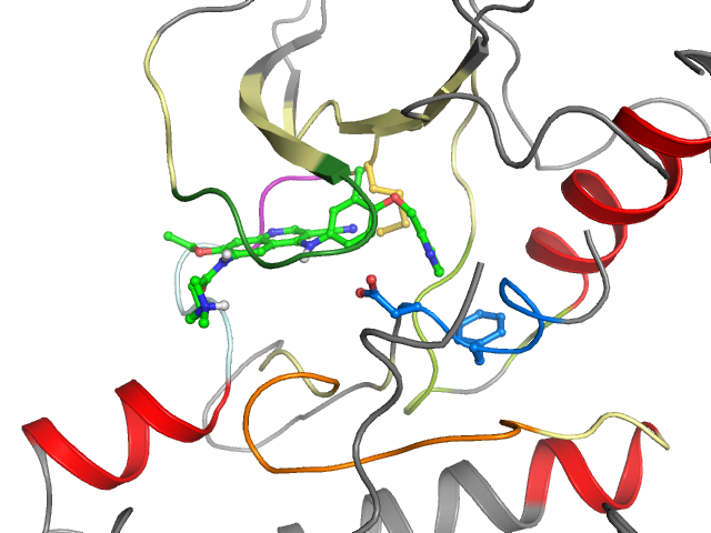 The orthosteric binding pocket