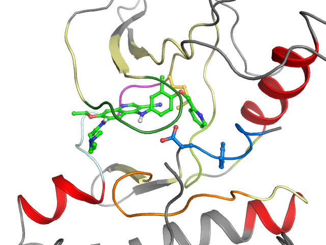 The orthosteric binding pocket