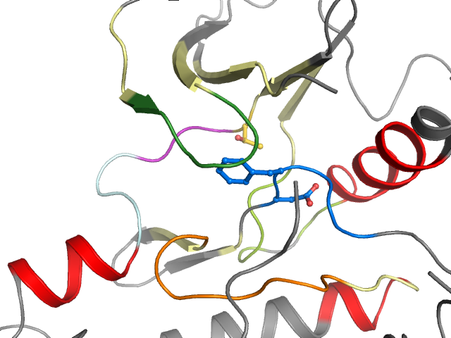The orthosteric binding pocket