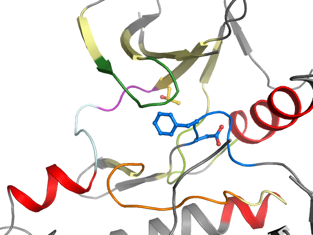 The orthosteric binding pocket