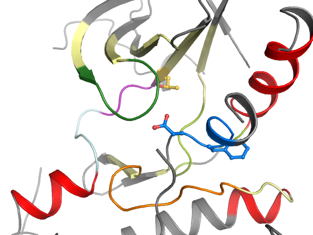 The orthosteric binding pocket