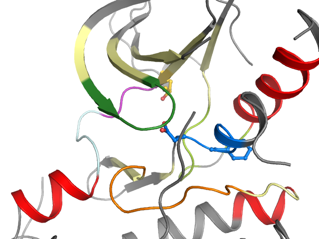 The orthosteric binding pocket