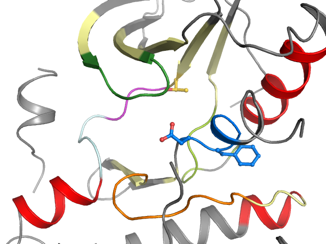 The orthosteric binding pocket
