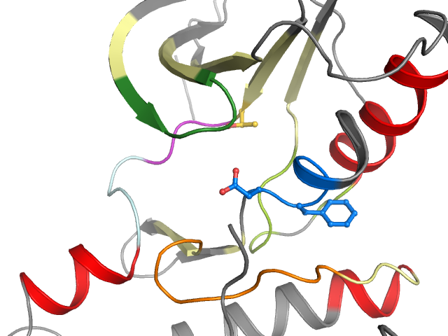 The orthosteric binding pocket