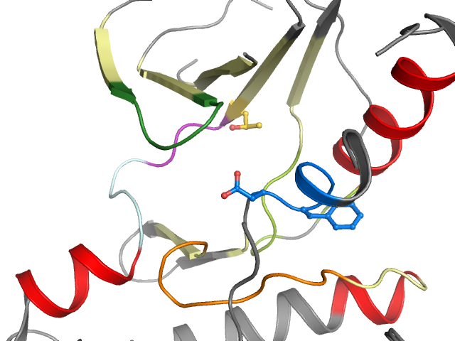 The orthosteric binding pocket