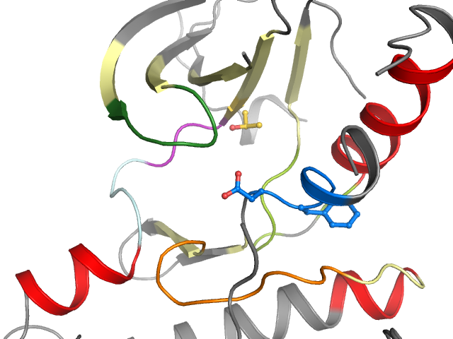 The orthosteric binding pocket