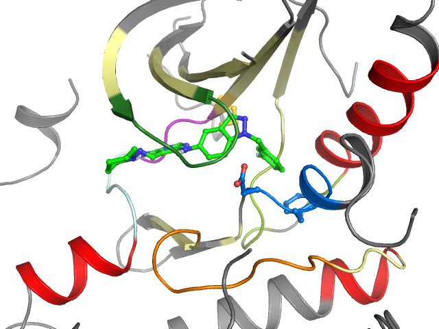 The orthosteric binding pocket