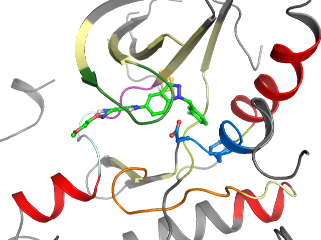 The orthosteric binding pocket