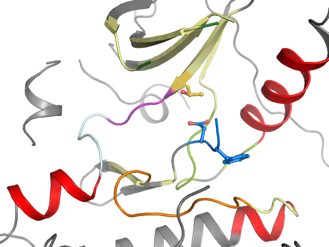 The orthosteric binding pocket