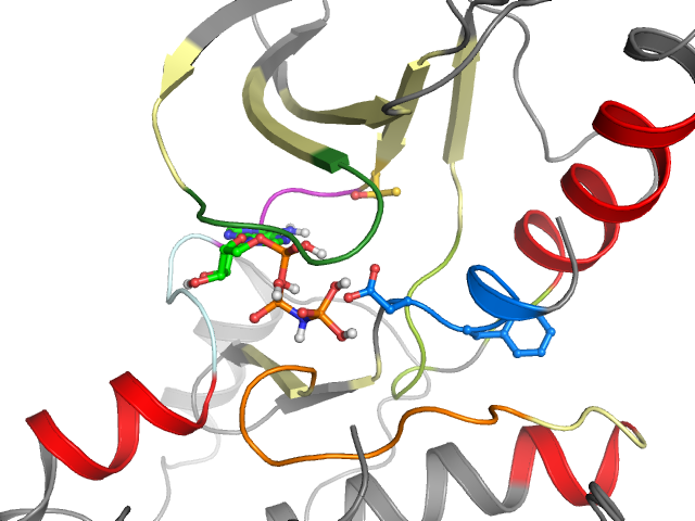 The orthosteric binding pocket