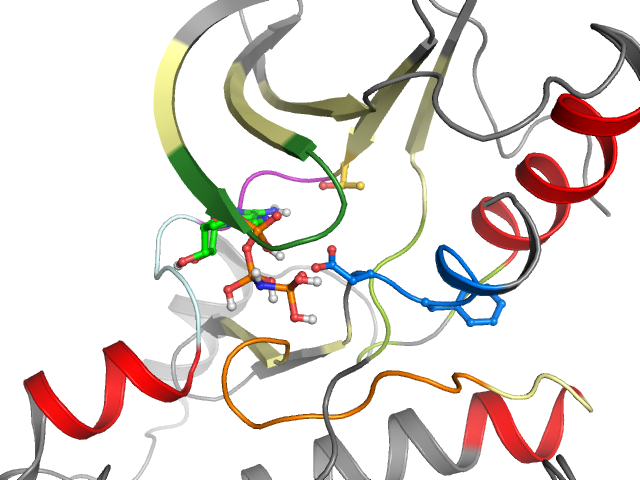 The orthosteric binding pocket