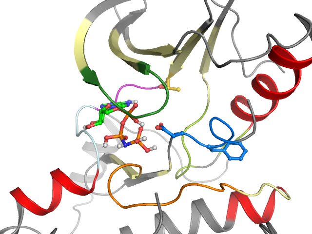 The orthosteric binding pocket