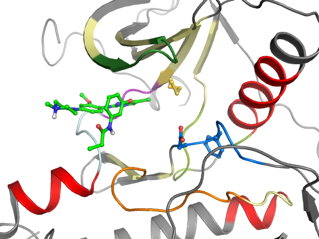 The orthosteric binding pocket