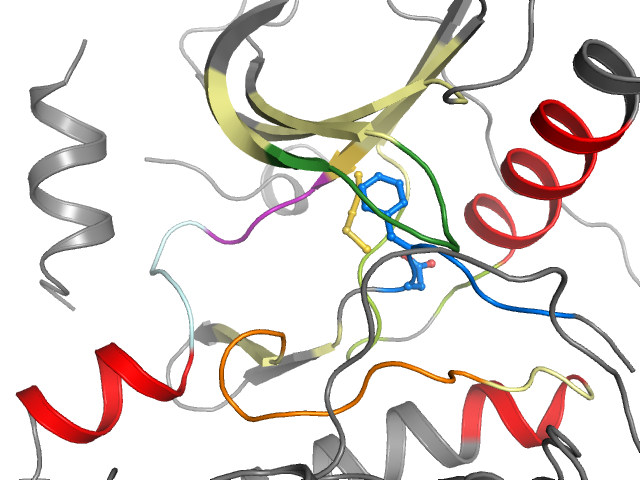 The orthosteric binding pocket