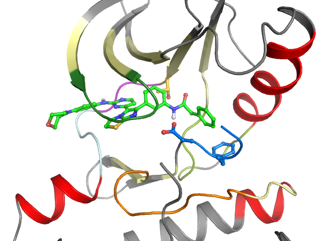 The orthosteric binding pocket