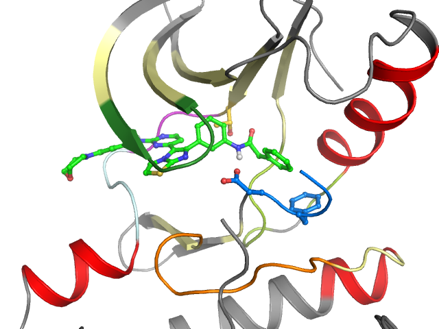 The orthosteric binding pocket