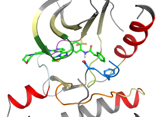 The orthosteric binding pocket